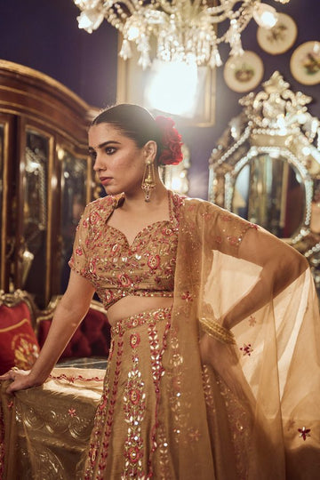 Khakhi brown embroidered Lehenga set in silk