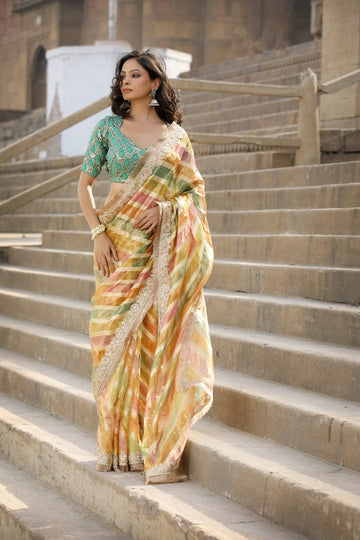 Multi-Coloured Saree In Tissue Organza