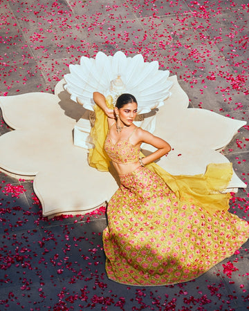 Yellow Embroidered Lehenga