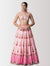 Baby Pink Handwork Lehenga