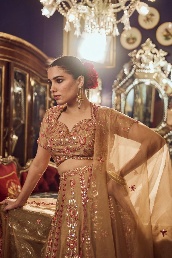 Khakhi brown embroidered Lehenga set in silk