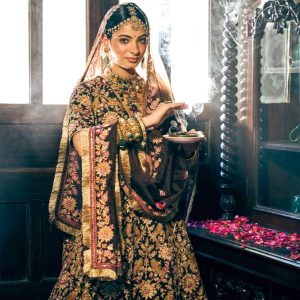 Brown beak and thread Lehnga set in silk