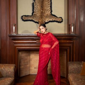 Red hand embroidered saree in net