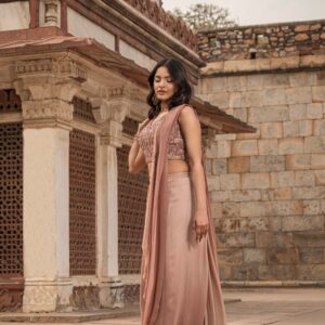 Beige & Brown Drape Saree