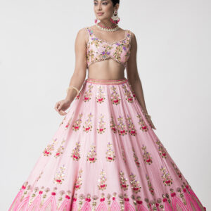 Baby Pink Handwork Lehenga