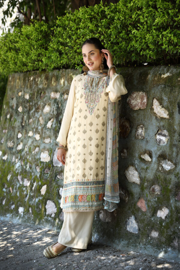 Pakistan Suit With Plazo