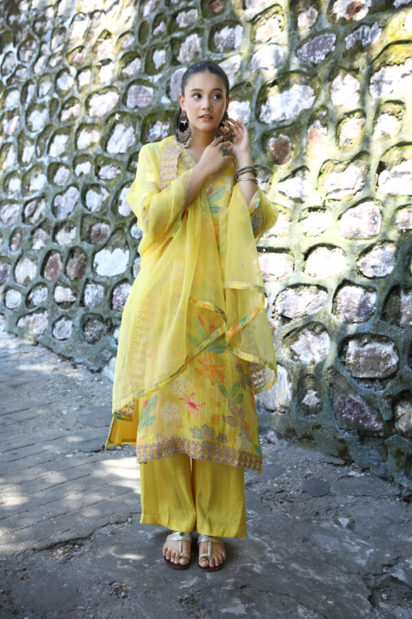 Pakistan Suit With Plazo