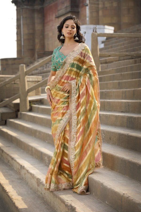 Multi-Coloured Saree In Tissue Organza