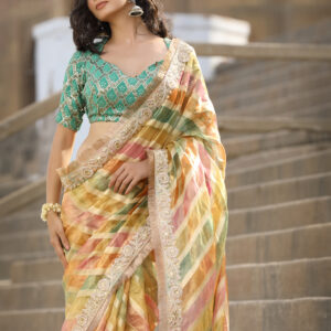 Multi-Coloured Saree In Tissue Organza