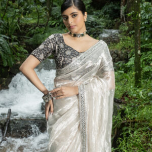 Silver Saree In Tissue Organza