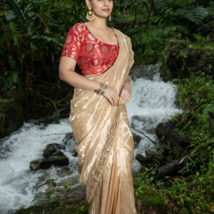 Gold Saree In Tissue Organza