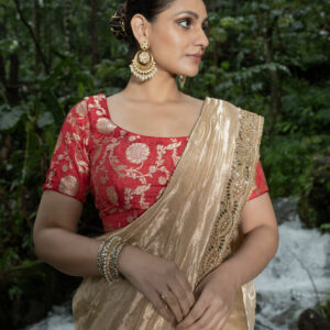 Gold Saree In Tissue Organza